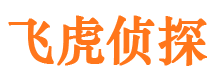 渑池市私家侦探